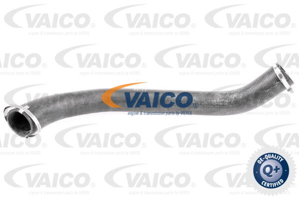 VAICO Ladeluftschlauch V25-1055