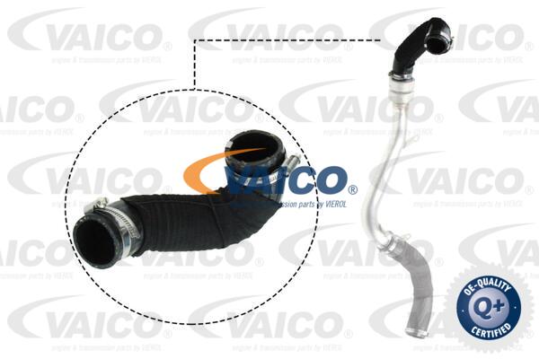 VAICO Ladeluftschlauch V25-1059