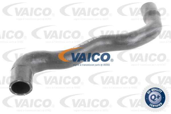 VAICO Kühlerschlauch V25-1217