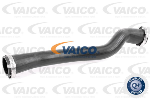 VAICO Ladeluftschlauch V25-1247