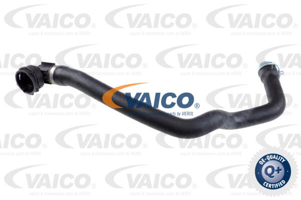 VAICO Kühlerschlauch V25-1430