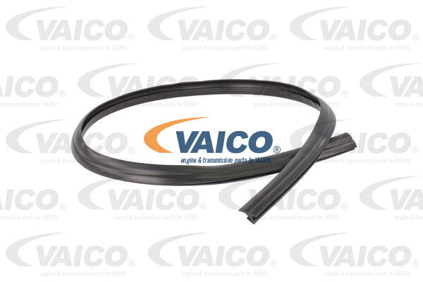 VAICO Dichtung, Frontscheibe V25-9701