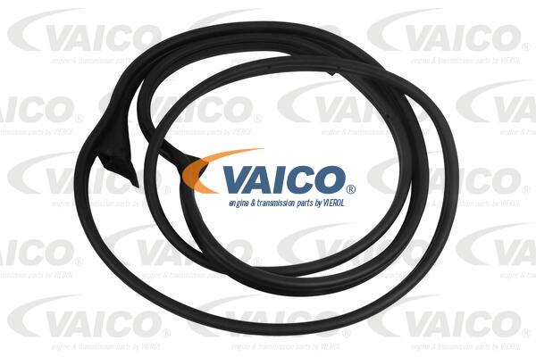 VAICO Dichtung, Türscheibe V30-1542