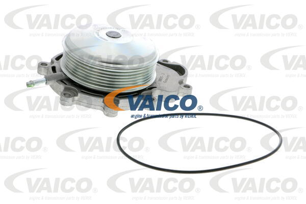 VAICO Wasserpumpe V30-50077
