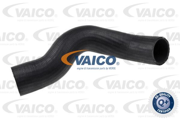 VAICO Ladeluftschlauch V38-0300