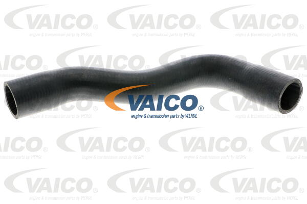 VAICO Kühlerschlauch V42-0669