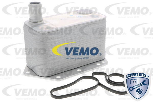 VEMO Ölkühler, Motoröl V20-60-0042