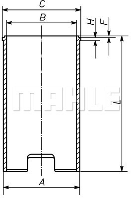 MAHLE Zylinderlaufbuchse 029 WV 13 00