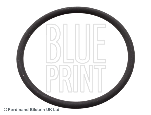 BLUE PRINT Dichtung, Einspritzpumpe ADN16144