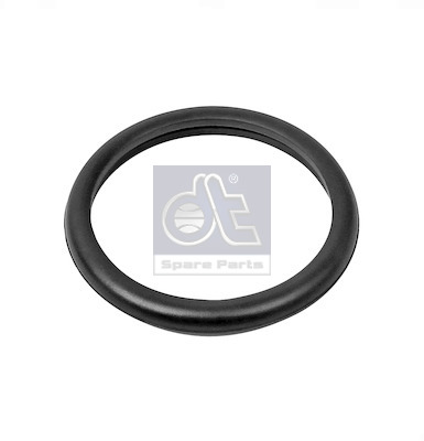 DT Spare Parts Dichtung, Thermostat 13.42091