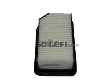 CoopersFiaam Luftfilter PA7660