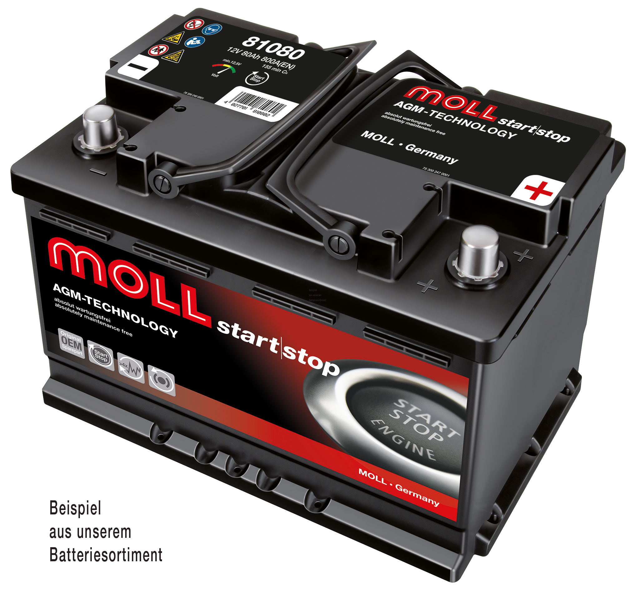 MOLLBATTERIEN Starterbatterie 81070