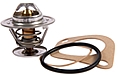 Thermostat/-dichtung